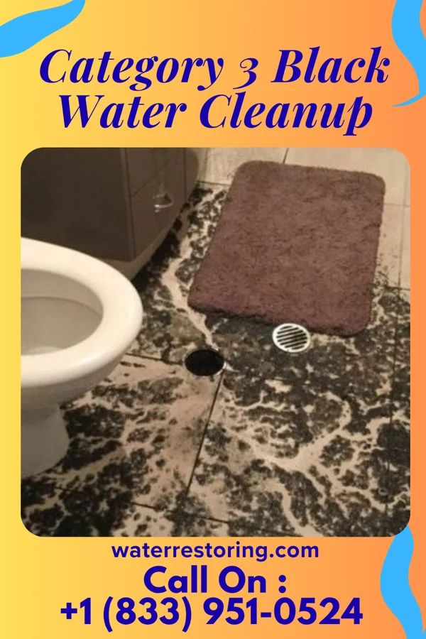Category 3 Black Water Cleanup in Gladbrook, IA
