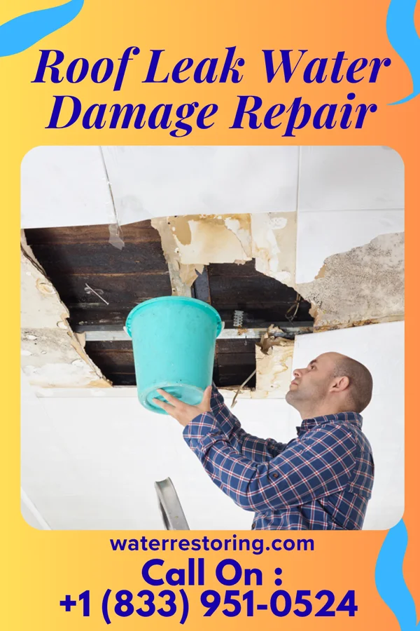 Roof Leak Water Damage Repair in Gladbrook, IA